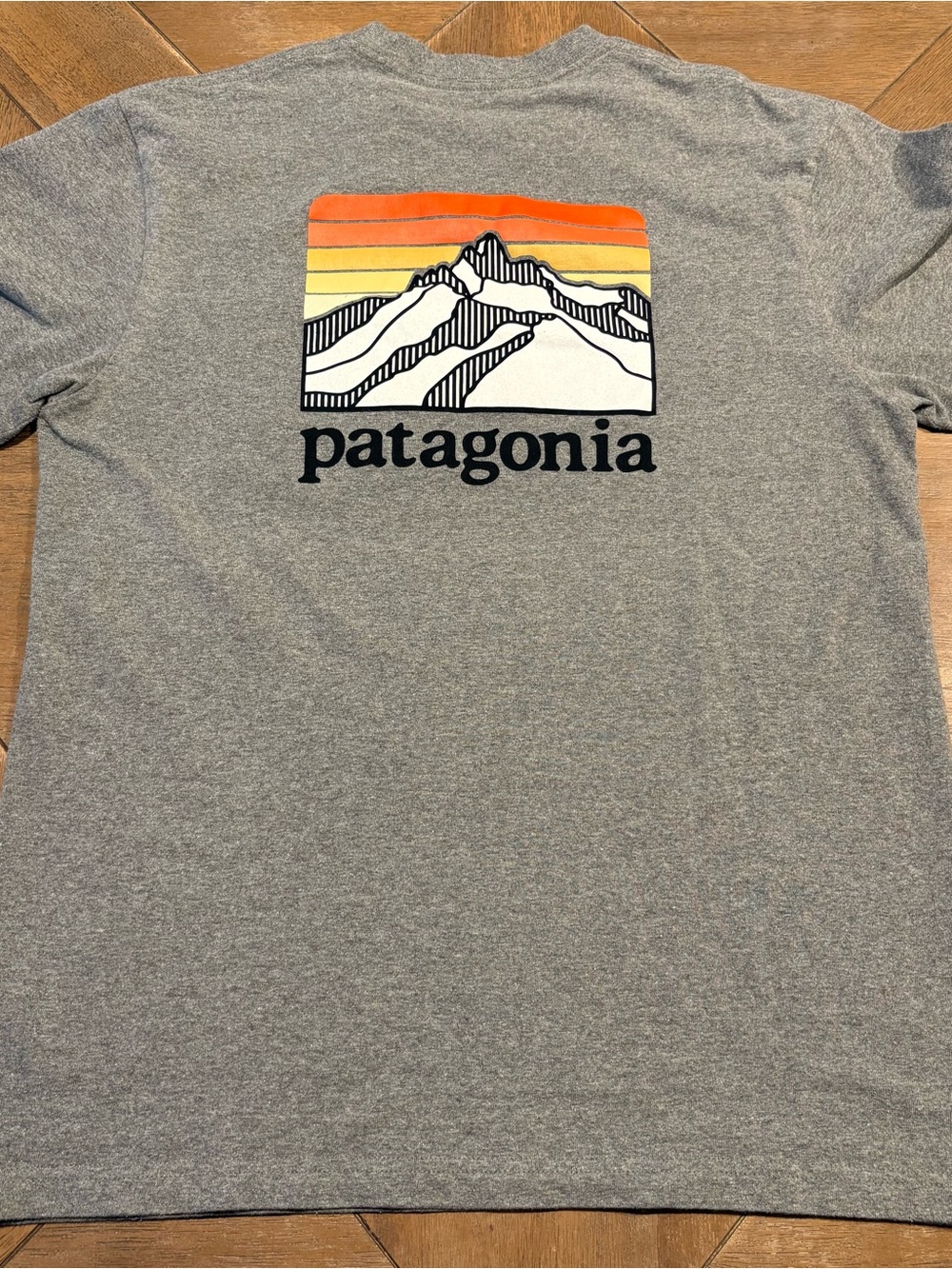 Patagonia T Shirt Short‎ Sleeve Line Logo Ridge Fitz Roy Pocket Small